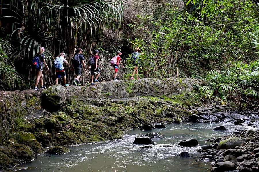 South Maui: Waterfall Tour w/ Kayak, Snorkel, and Hike - Weather Changes and How to Think About Safety