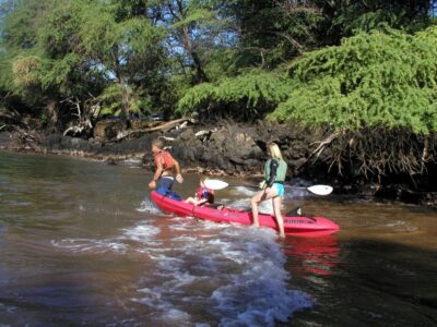 South Maui: Whale Watch Kayaking and Snorkel Tour in Kihei - Sit-on-top kayaking: why this format feels beginner-friendly