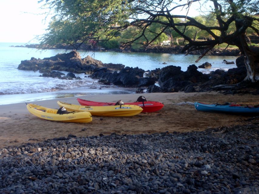 South Maui: Whale Watch Kayaking and Snorkel Tour in Kihei - Snorkeling along the reef: honu and reef life up close