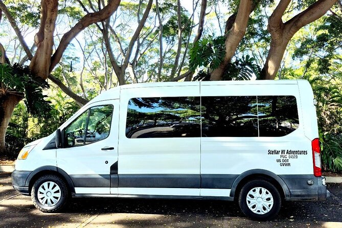 Stellar HI Tours- 15 person van-your own private tour to Hana! - Private Road to Hana Planning, Without the Map Tangle