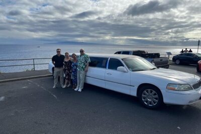Stretch Limousine Private Transfer around the Island of Maui - Pickup, meeting flow, and what the mobile ticket changes
