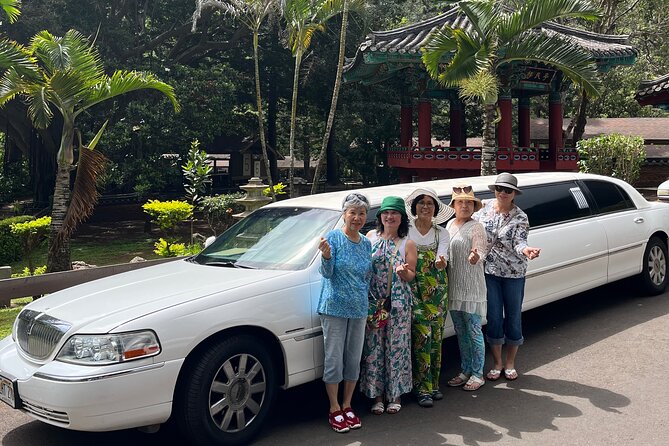 Stretch Limousine Private Transfer around the Island of Maui - Who this Maui limo tour suits best