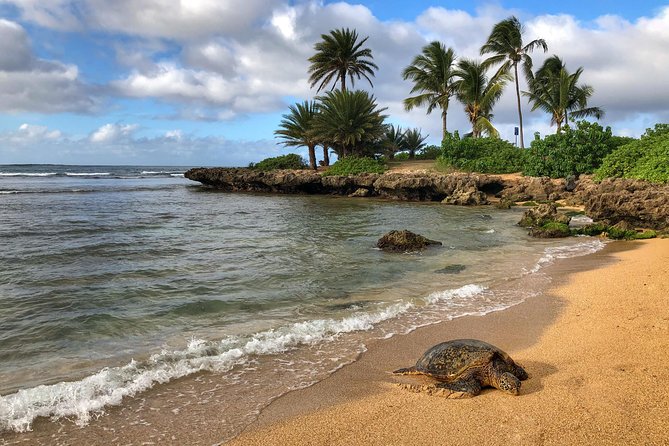 Sunrise Plus Island Tour - North Shore stops: variety without the tourist trap feeling