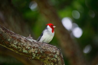 Sunrise Plus Island Tour - The rest of the morning: quick breakfast, then a photo road trip