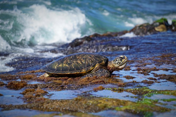 Sunrise Plus Island Tour - Photo coaching that focuses on what you can control