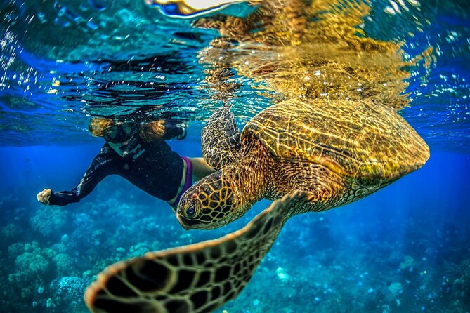 Super Raft - Private Charter Maui 3 Hour Snorkel to Coral Gardens or Molokini - Molokini Crater: The Weather-Smart Snorkel Choice