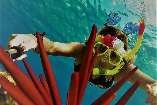 Super Raft - Private Charter Maui 3 Hour Snorkel to Coral Gardens or Molokini - How Private Time Works: Custom Pace Without the Guesswork