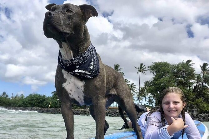 Surf with a Service Animal - Why This Maui Surf Lesson Feels Different