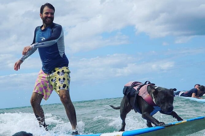 Surf with a Service Animal - Catching Waves: What the First Minutes Typically Feel Like