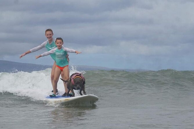 Surf with a Service Animal - James and Church: A Coaching Style That Works for Beginners