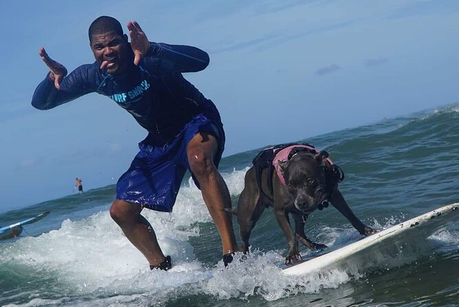 Surf with a Service Animal - The Private Tour Advantage (And Why It Feels Worth It)