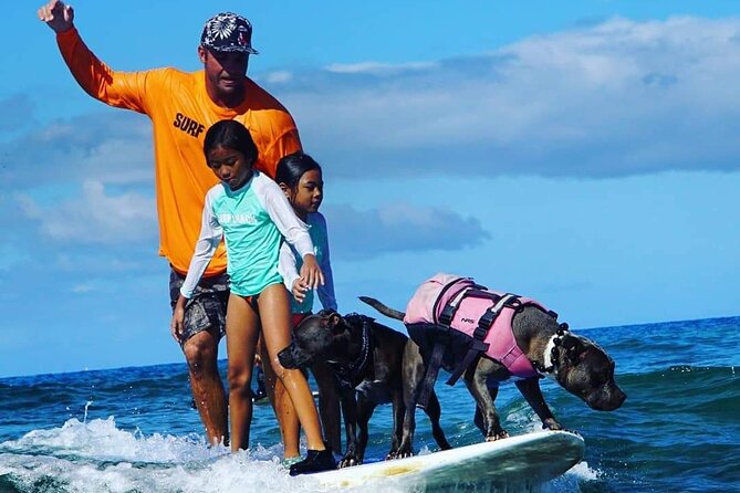 Surf with a Service Animal - Value Check: Is $200 Per Person a Good Deal?