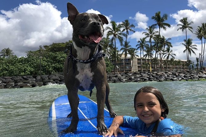 Surf with a Service Animal - Start at Ukumehame Beach Park (And What That Means for Your Day)
