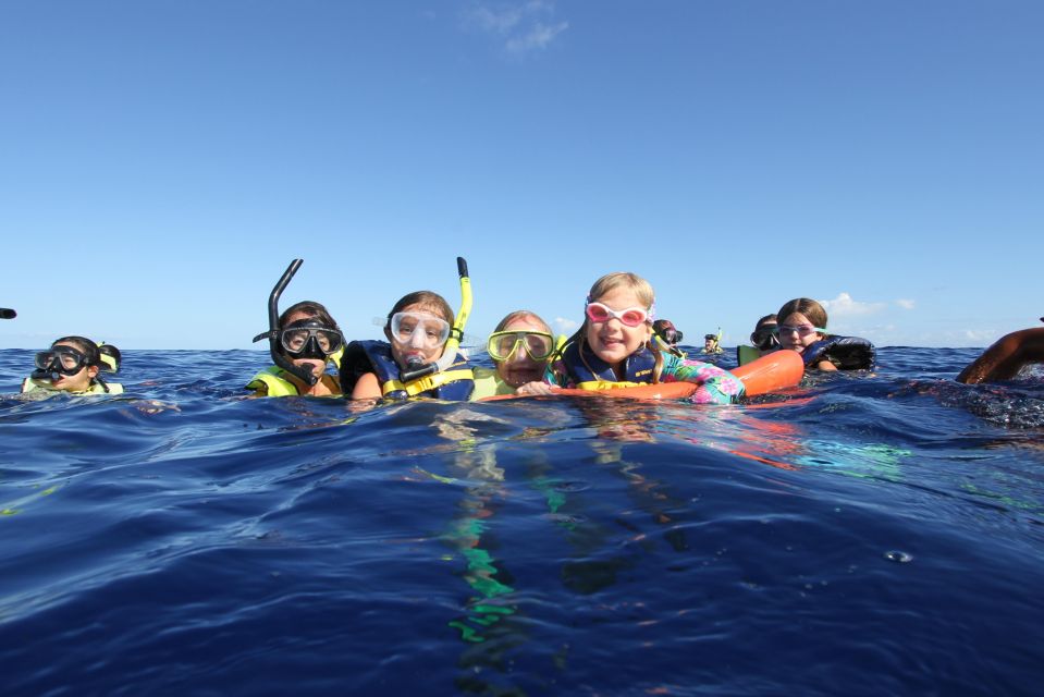 Swim with Wild Dolphins Oahu Speedboat Snorkeling Adventure! - Dolphin Warrior speedboat: how the 3 hours actually play out