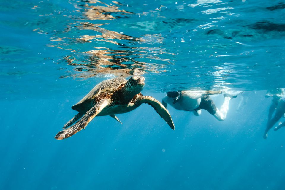 Swim with Wild Dolphins Oahu Speedboat Snorkeling Adventure! - West Oahu shoreline cruise: the views between the wildlife