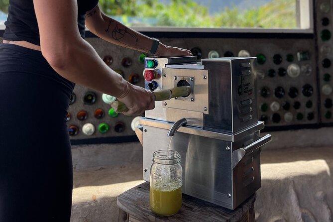 Taste of Hawaii: A Maui Farm Tour - The farm walk: Haleakalā views and tropical crops you can spot up close