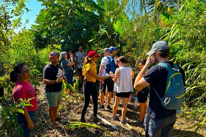 Taste of Hawaii: A Maui Farm Tour - What you taste: fresh fruit, sugarcane juice you make, and banana dessert