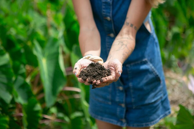 Taste of Hawaii: A Maui Farm Tour - Price and value: why $75 can make sense for a farm tasting