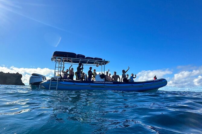 The Best 10 am 1.5 Hour Whale Watching Tour - Who this Maui whale watch suits best