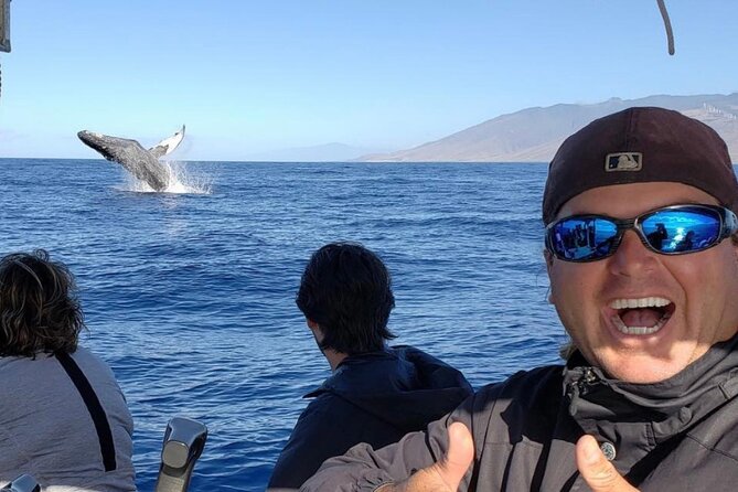 The Best 12 pm 1.5 Hour Whale Watching Tour - 1.5 Hours Off Kihei: What the Day Actually Feels Like