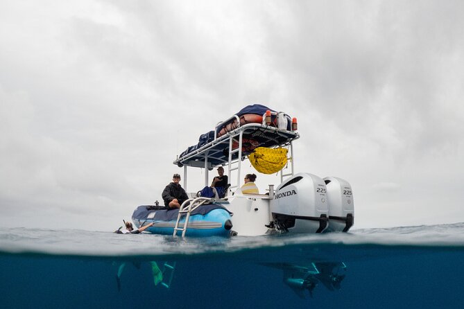 The Best 2 Hour Molokini Express Snorkeling - Key Things That Make This Molokini Express Worth Your Time