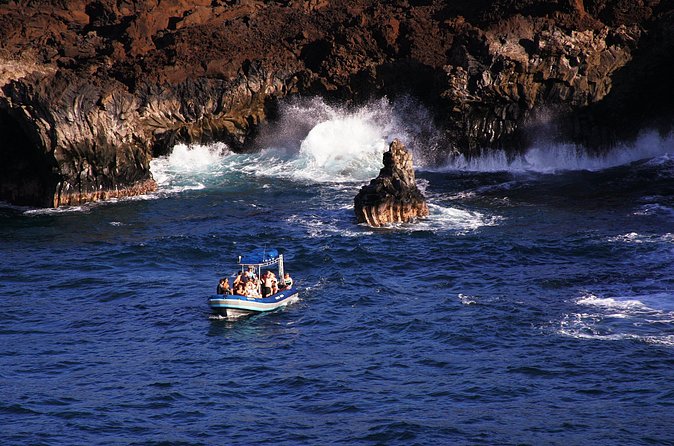 The Best 4 hour inclusive Kanaio Sea Caves and La Perouse Snorkel - What’s included (and what you should still bring)