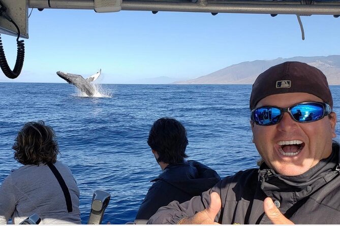 The Best 8 am 1.5 Hour Whale Watching Tour - Why Kihei and Maalaea Bay at 8:00 am make sense
