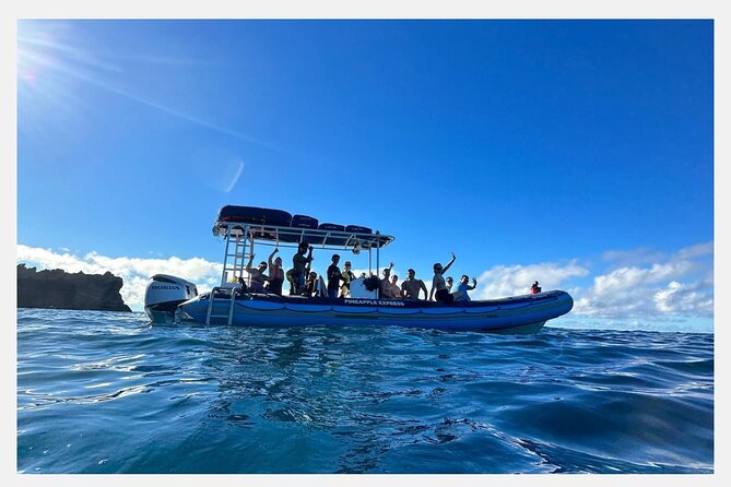 The Best 8 am 1.5 Hour Whale Watching Tour - Close encounters and the safety trade-off you should expect