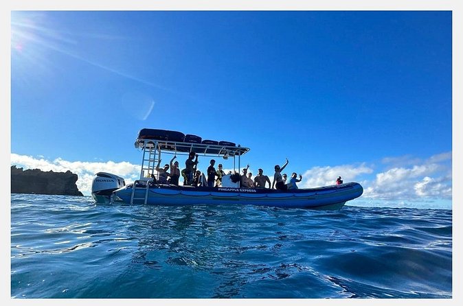 The Best 8 am 1.5 Hour Whale Watching Tour - Parking, timing, and how to get a stress-free morning start
