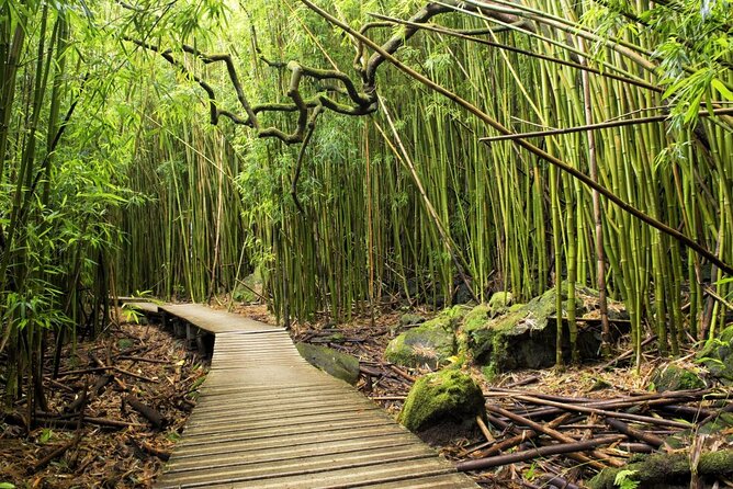The best half day of your life! Luxury Road to Hana private tour - The Bamboo Forest: where the sounds and waterfalls do the work