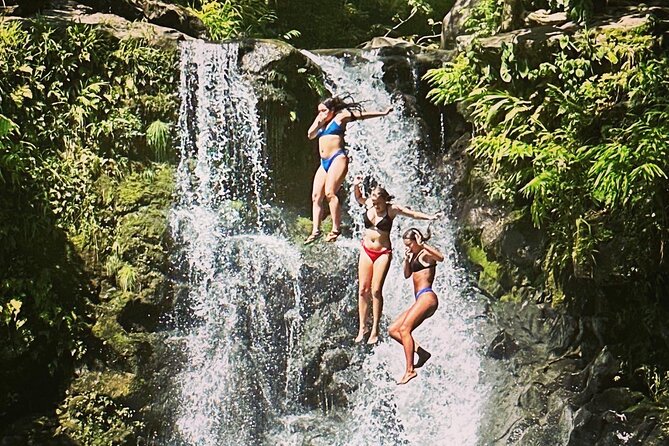 The best half day of your life! Luxury Road to Hana private tour - Ho‘okipa Beach Park: turtles plus surfers, with a built-in pause