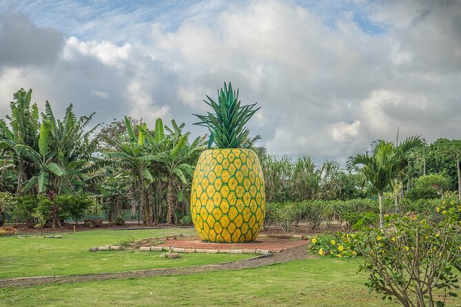 "The Dole Plantation" & "North Shore" Private Limousine VIP Tour! - Why This Dole and North Shore Limo Plan Works on Oahu