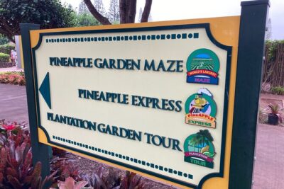 "The Dole Plantation" & "North Shore" Private Limousine VIP Tour! - Haleiwa: The Historic Surf Town Stop and Shrimp Lunch Area