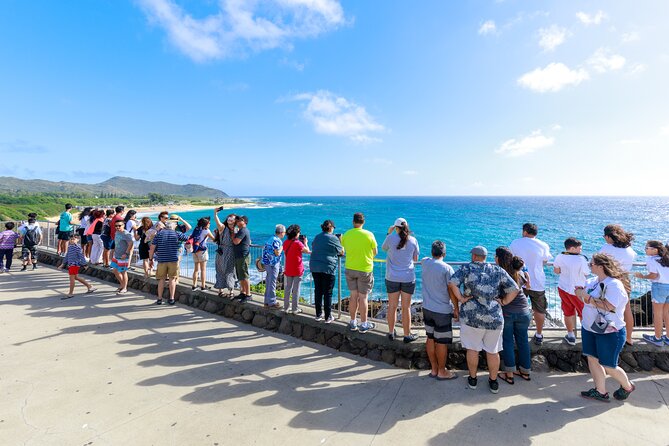 Tour of North Shore & Waimea Waterfall - Diamond Head Viewpoint and Halona Blowhole in the Same Big-View Sweep