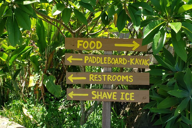 Tour of North Shore & Waimea Waterfall - Waimea Valley Botanical Gardens and the Waterfall Swim
