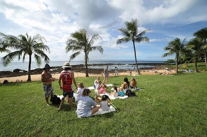 Transportation to North Shore - Where You’ll Likely Spend the Day: Beaches, Parks, and Waimea Area