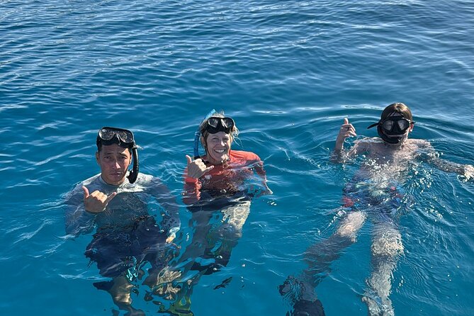 Turtle Canyon Snorkel Tour - Semi-private: 6 passenger max - Key things to know before you go