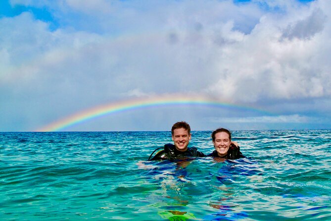Turtle & Shark Scuba Dive in Lahaina: Certified - Key Highlights You’ll Actually Care About