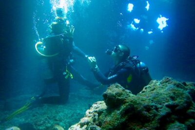 Turtle & Shark Scuba Dive in Lahaina: Certified - What Your Private Guide Does Differently Than A Big Group