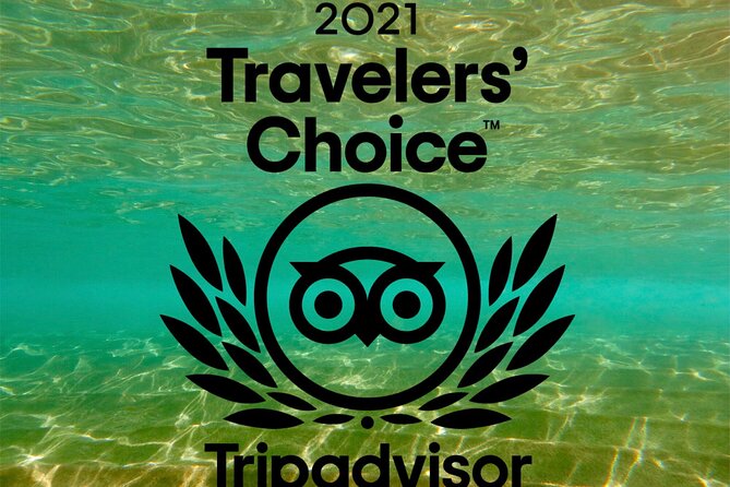 Turtle & Shark Scuba Dive in Lahaina: Certified - Underwater Wildlife Highlights: Turtles, White-Tip Reef Sharks, And More
