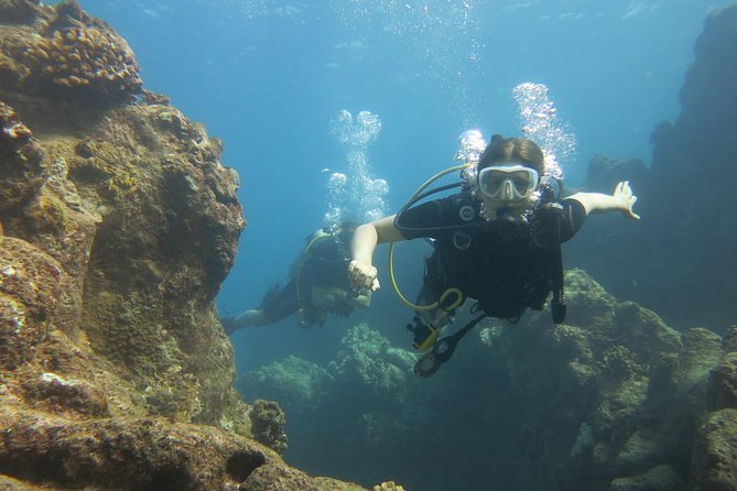 Turtle & Shark Scuba Dive in Lahaina: Certified - How The 2-Hour Schedule Flows (And What You Can Do With Your Time)