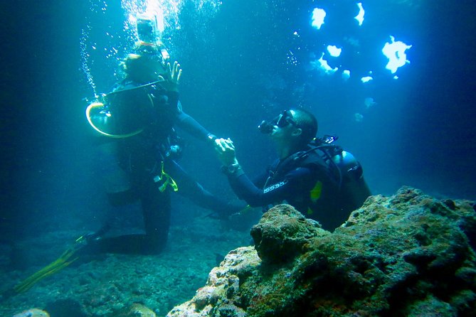 Turtle & Shark Scuba Dive in Lahaina: Certified - What Your Private Guide Does Differently Than A Big Group