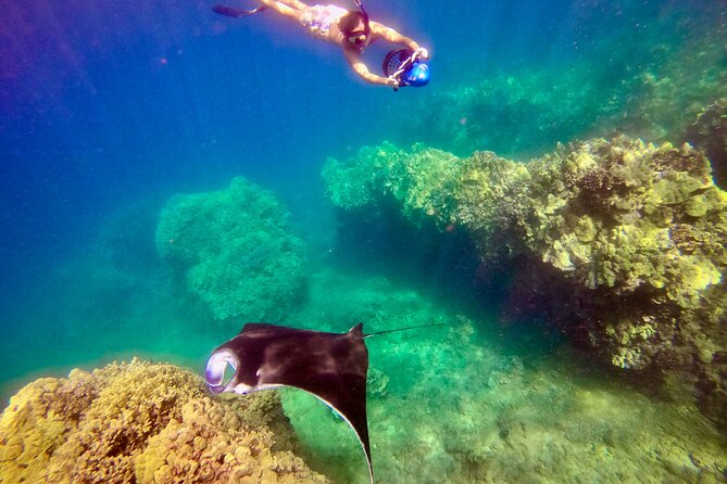 Turtle Town Underwater Scooter Snorkeling Tour with GoPro - The human factor: guides who actually guide