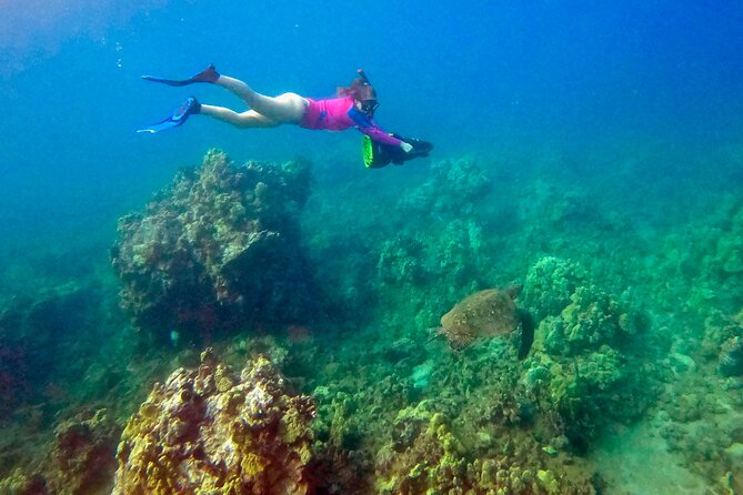 Turtle Town Underwater Scooter Snorkeling Tour with GoPro - Who this tour suits best (and who should skip it)