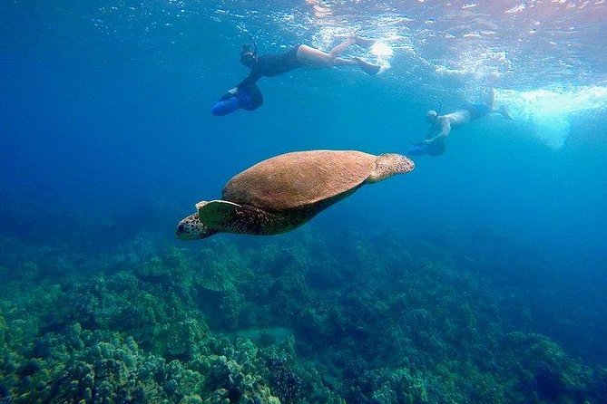 Turtle Town Underwater Scooter Snorkeling Tour with GoPro - Where you meet and how easy the start is