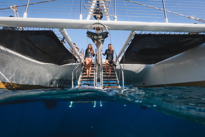Turtles & Tacos Luxury Catamaran Snorkel - The Value Question: Is $199 a Good Deal?
