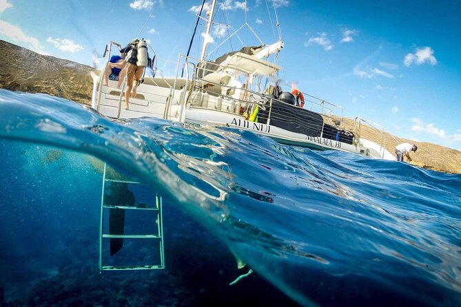 Turtles & Tacos Luxury Catamaran Snorkel - Who This Sail Fits Best (and Who Might Want Quiet)