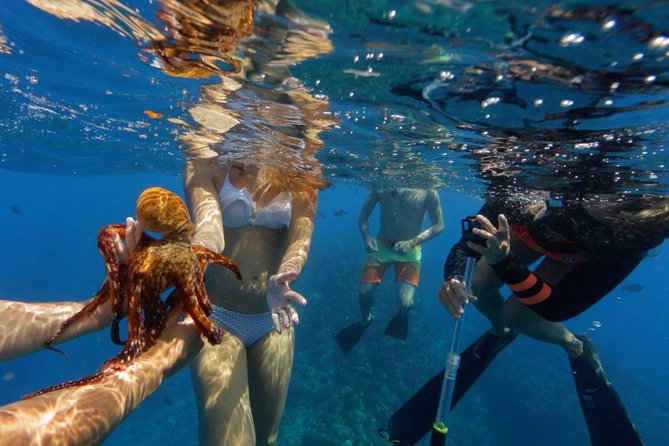 Ultimate 4 Hour Lanai Snorkel and Dolphin Encounter - Stop two back toward Maui: reefs like the old Mala Wharf setup