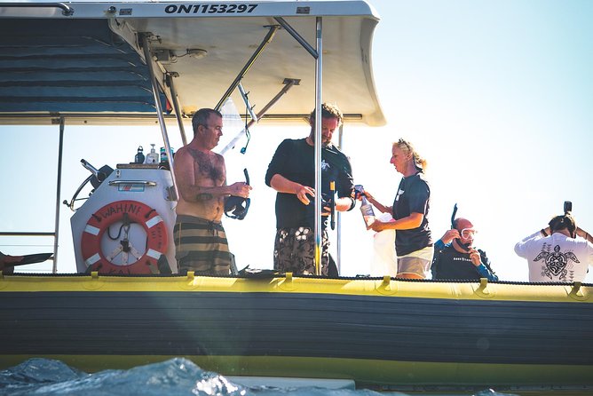 Ultimate 4 Hour Lanai Snorkel and Dolphin Encounter - Gear, flotation, sunscreen, and the snacks you don’t have to pack