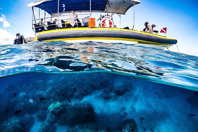 Ultimate 4 Hour Lanai Snorkel and Dolphin Encounter - Price and value: is $175 worth it for 4 hours?